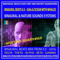 0.5 - 42Hz Binaural Beats & Ocean with Whales