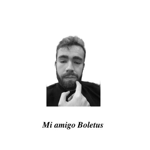 Mi amigo Boletus