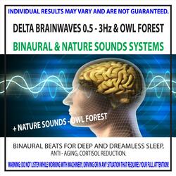 Delta Brainwaves 0.5 - 3Hz & Owl Forest