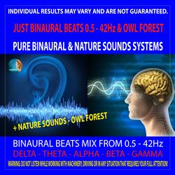 Just Binaural Beats 0.5 - 42Hz & Owl Forest