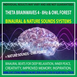 Theta Brainwaves 4 - 8Hz & Owl Forest