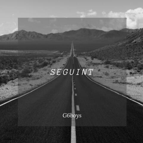 SEGUINT