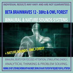 Beta Brainwaves 12 - 38Hz & Owl Forest