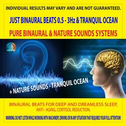 Just Binaural Beats 0.5 - 3Hz & Tranquil Ocean