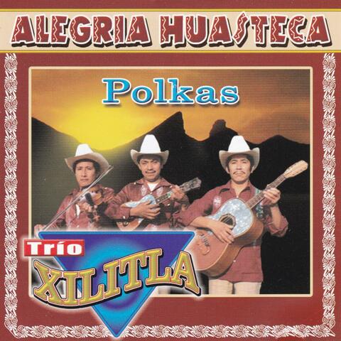Polkas: Flor de México