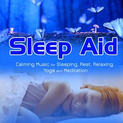 Sleep Relaxing Song