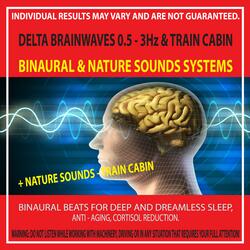 Delta Brainwaves 0.5 - 3Hz & Train Cabin
