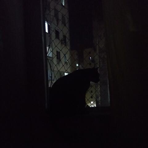 a mesma coisa, várias vezes, ad nauseam