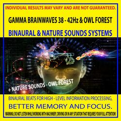 Gamma Brainwaves 38 - 42Hz & Owl Forest