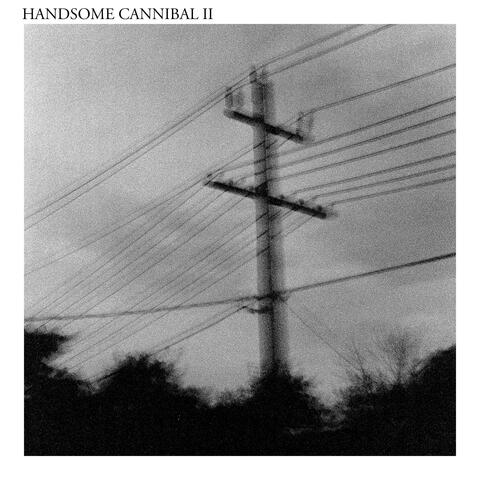 Handsome Cannibal II