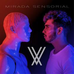 Mirada Sensorial
