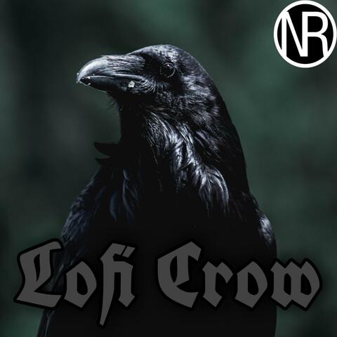 Lofi Crow
