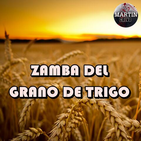 Zamba del grano de trigo