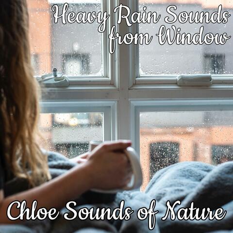 Heavy Rain Sounds from Window - Deep Sleep Aid