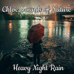 Falling Rain at Night