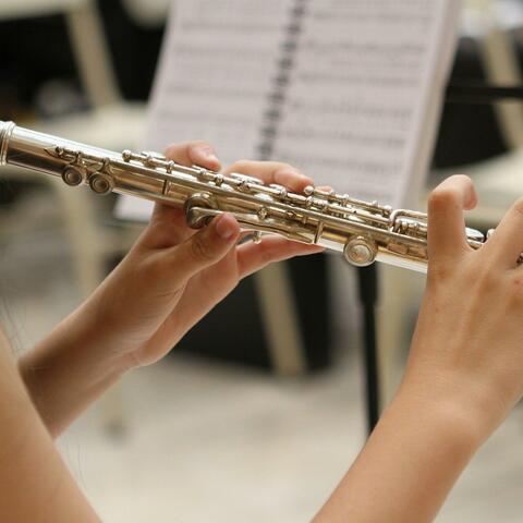 Vivaldi Updated: "Follia Bis" based on RV 63