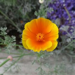 Into The Inbetween (feat. Benjamin Ailport)