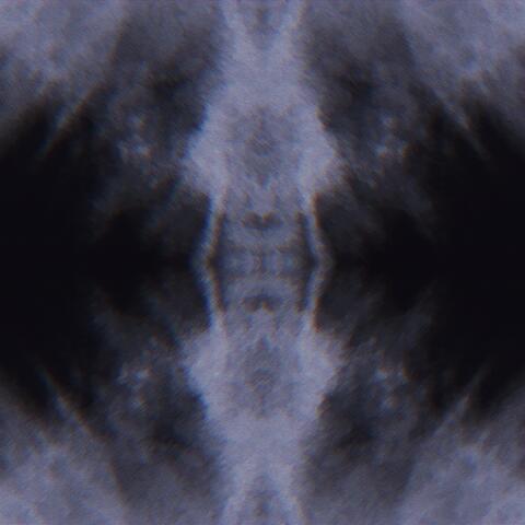 Ghost in the Machine