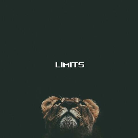 Limits