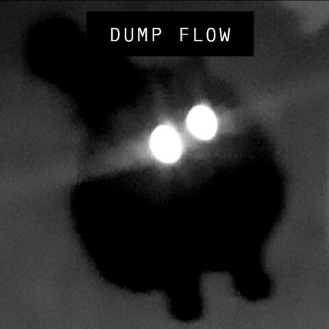 Dump Flow