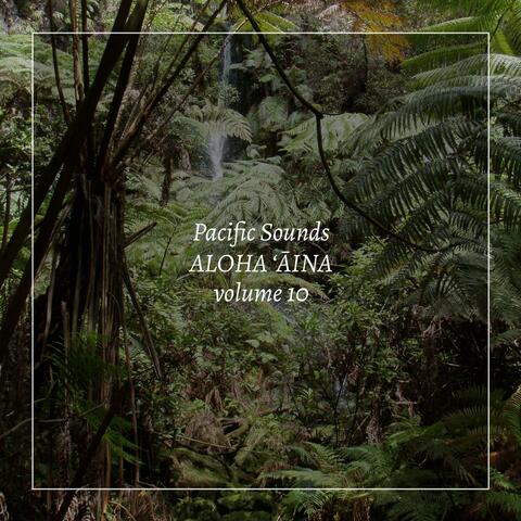 Aloha Aina, Vol, 10: Field Recordings of Hawaii