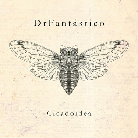 Cicadoidea