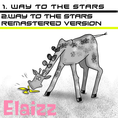 Way To The Stars