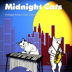 Midnight Cats