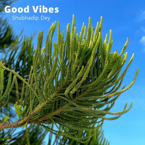 Good Vibes
