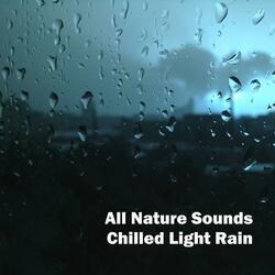 Chilled Light Rain