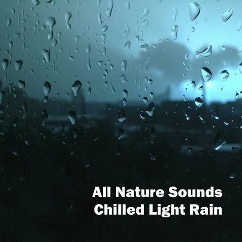 Chilled Light Rain