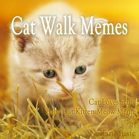 Cat Walk Memes (Soothing Relaxation Music for Sleep, Studying)