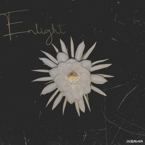 Enlight