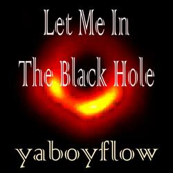 Let Me In The Black Hole