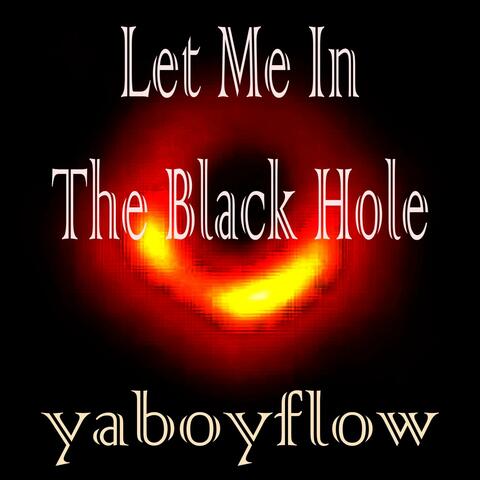 Let Me In The Black Hole