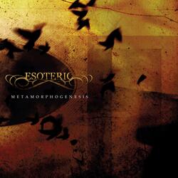 Psychotropic Transgression