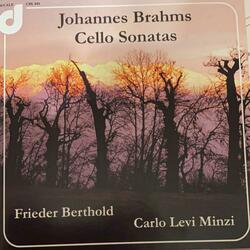 Cello Sonata No. 1 in E Minor, Op. 38: Allegretto quasi Menuetto