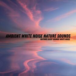 Calming Waves On The Soft Sand Relaxing ASMR Water Sound