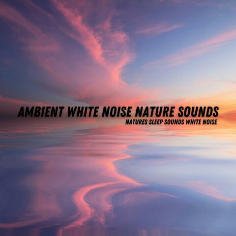 Natures Sleep Sound White Noise