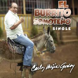 El Burrito Somoteño