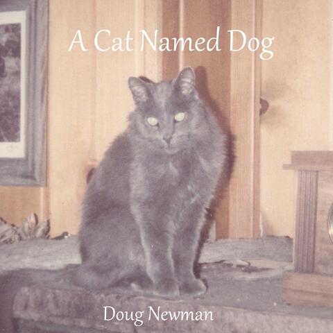 A Cat Named Dog
