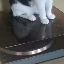 Don't Leave Me Here Alone