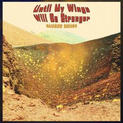 Until My Wings Will Be Stronger
