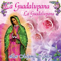 La Guadalupana, La Guadalupana