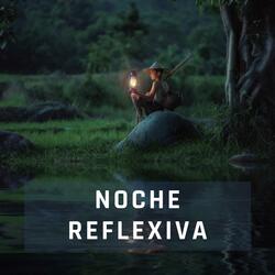 Noche reflexiva