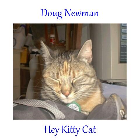 Hey Kitty Cat