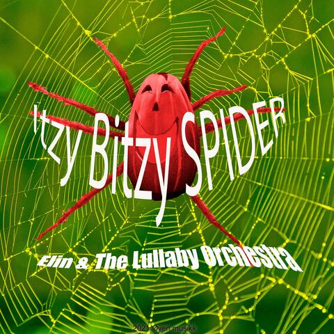 Itsy Bitsy Spider