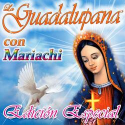 Mañanitas a la Virgen de Guadalupe