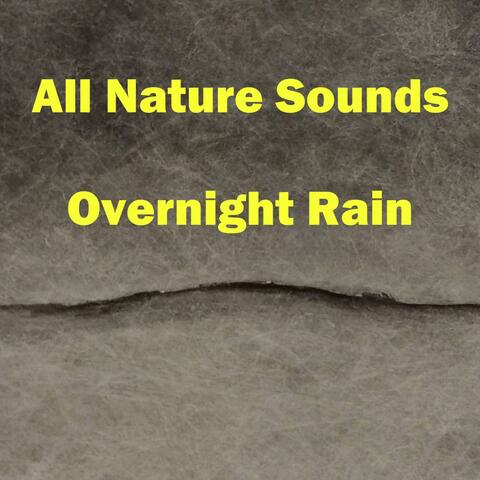 Overnight Rain