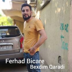 Bexdim Qaradi